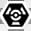 Symbol of the Pokemon TCG set Pokémon Futsal 2020